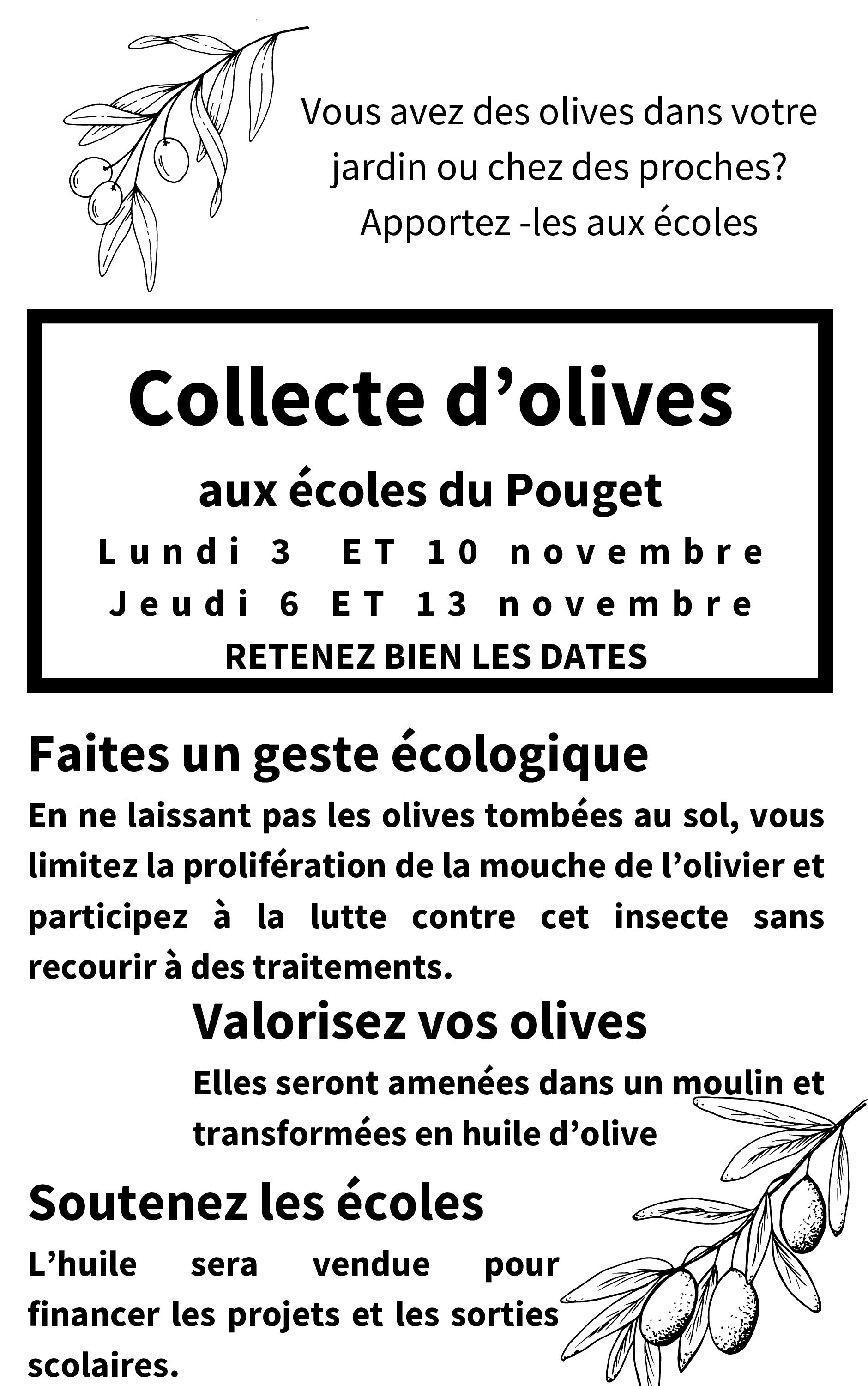 Collecte d'olives